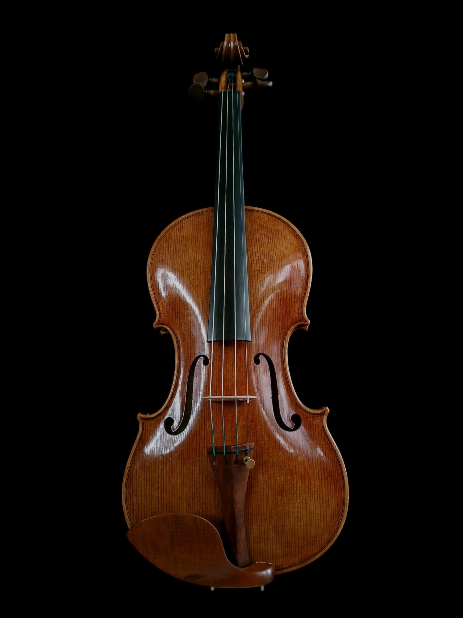 Violon n°17