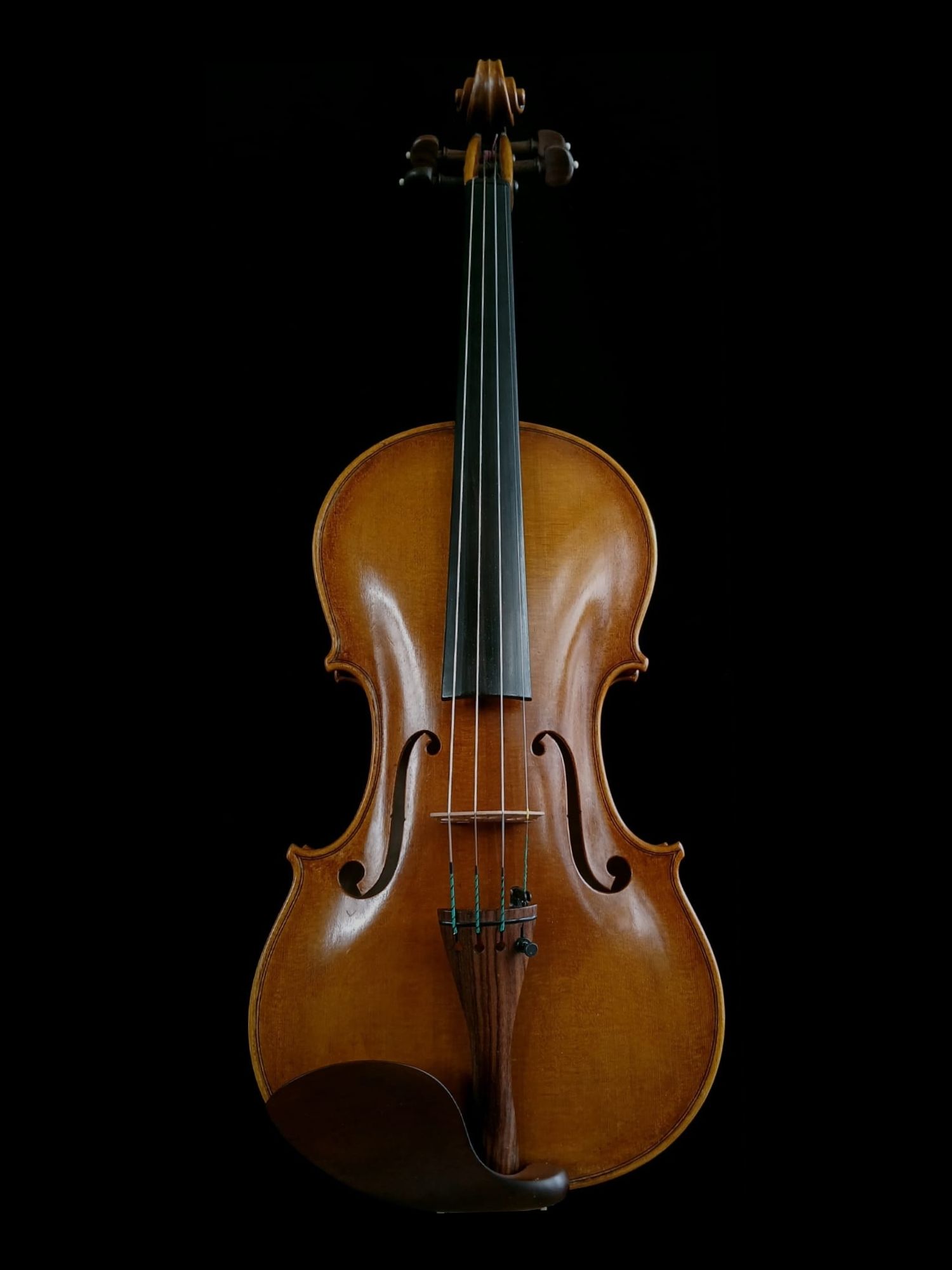 Violon n°15